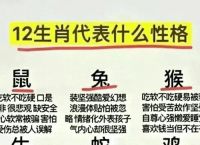 关于冲代表什么动物打一生肖的信息
