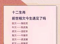 “铁心铁意无二心，难舍难离情难兮”是什么生肖的简单介绍