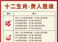 88年今年多大属什么生肖-88年属什么的生肖,今年属什么多大