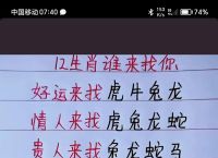 包含今期生肖接上期不同道打一生肖的词条