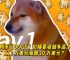 狗狗币今天的市场价格-狗狗币doge今日价格