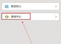 [飞机聊天下载中文版苹果]飞机聊天下载中文版苹果手机