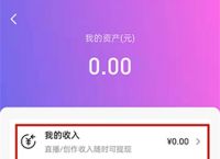 [imtoken怎么提现变为现金]imtoken里的usdt怎么提现