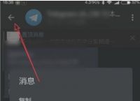 [telegreat怎么设置中文]telegreat怎么设置中文安卓