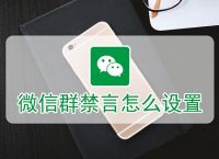 关于telegeram怎么解除禁言的信息