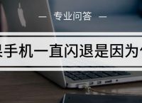 [纸飞机一直闪退什么原因]纸飞机退出登录如何重新登录