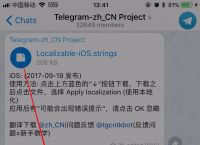 关于telegeram怎么登陆进去ios的信息