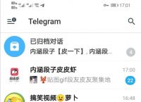 怎么把纸飞机app切换成中文版-怎么把纸飞机app切换成中文版的