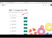 googlevoice是什么-google voice是什么?