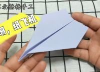 纸飞机中文语言包链接-苹果纸飞机怎么设置中文版教程