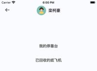 [纸飞机app怎么设置代理]纸飞机app中文版设置方法