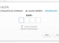 [苹果下载飞机软件收不到验证码怎么回事]苹果下载飞机软件收不到验证码怎么回事儿