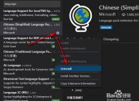 [纸飞机中文语言包链接]纸飞机安装zh_cn语言包