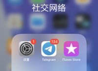 关于纸飞机app官方下载新版本苹果的信息