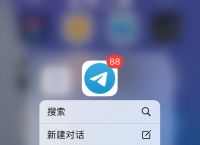 飞机app苹果下载中文版-飞机app苹果下载中文版是哪一个