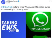 whatsapp下载-whatsapp下载官网安卓手机版