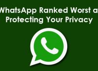 免费下载WhatsApp-免费下载whatsapp官网版