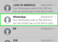 whatsappdau-whatsapp代理软件