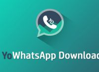 whatsapp-whatsapp一个勾和两个勾的区别