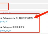 关于国内使用Telegram参数的信息