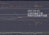 狗狗币app2021-狗狗币最高涨到多少美元