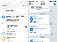 关于telegram怎么改语言ios的信息