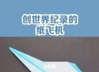 纸飞机官方中文版最新版的简单介绍