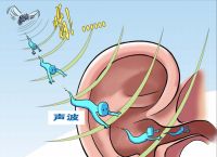 耳朵里有发电报的声音怎么回事-耳朵里有发电报的声音怎么回事儿