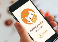 读秒钱包企业版谁用过-读秒钱包上征信吗2020