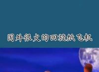 国外纸飞机-国外纸飞机叫什么名字