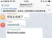 [telegram在中国为何禁用]telegram 在中国可以用吗