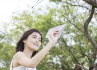 苹果手机纸飞机怎么弄成中文版的-苹果手机纸飞机软件怎么弄成中文版的