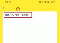 进口纸飞机app-进口纸飞机型号什么意思