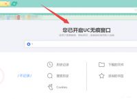 uc浏览器搜索记录显示多久-uc浏览器搜索记录显示多久的内容