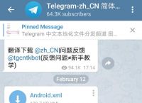 国内使用Telegram参数的简单介绍