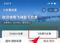 飞机app叫什么-飞机官网app下载