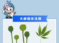 bitkeep在中国合法吗的简单介绍