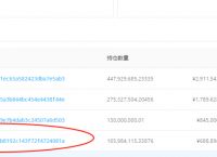 erc20usdt地址查询-通过erc20地址可以找到人吗