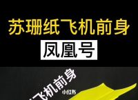 [中文纸飞机]中文纸飞机苹果