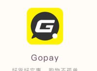 gopay支付平台可靠吗-gopay中文版支付平台下载