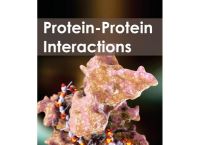 [protein]proteins