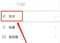 小狐狸钱包怎么用微信支付-小狐狸钱包怎么用微信支付不了
