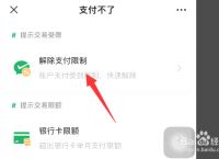 苹果下载不了app怎么回事说微信支付无效的简单介绍