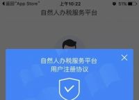 下载个人所得税app-下载个人所得税App要交税不