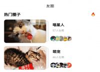 关于猫咪社区官网址一的信息