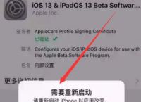 ios下载不了软件怎么回事儿-ios下载不了软件怎么回事儿苹果