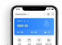 TokenPocket官网地址-tokenpocket是什么意思