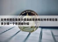 包含比特币最高的时候是多少钱一枚什么时候的词条