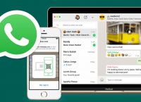 whatsapp中文下载安装-whatsapp中文版下载安装