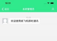 [苹果纸飞机怎么设置中文版]苹果纸飞机怎么设置中文版教程2022